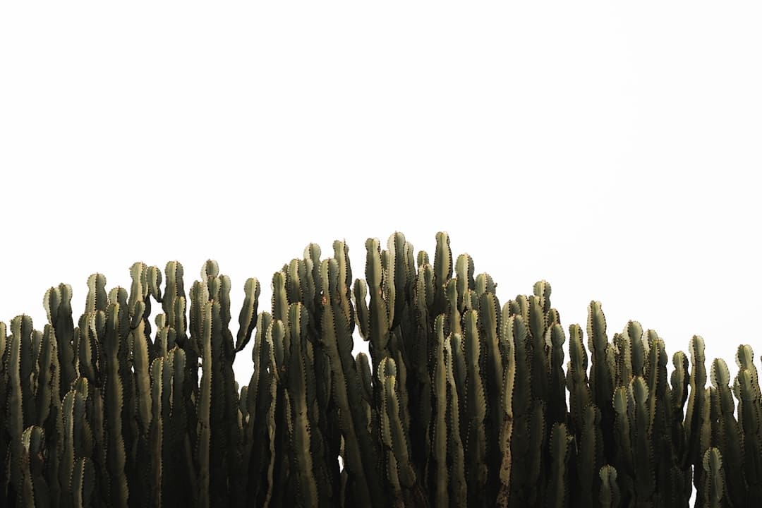 http://n.sinaimg.cn/news/transform/w600h400/20180310/QBiJ-fxpwyhw5963381.jpg?zdy